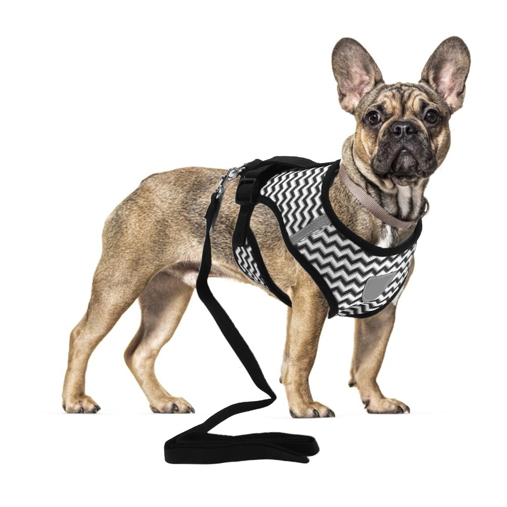 Fabric Weight Set - Set Harness Hewan Peliharaan Bahan Mesh